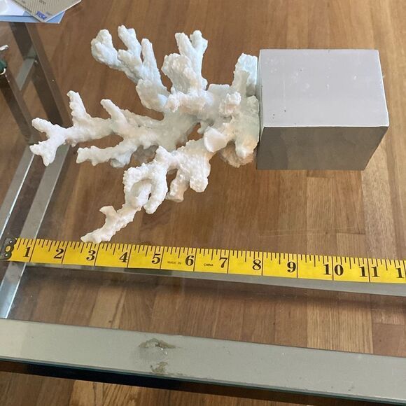 White branch coral on silver base. 12” x 10” - Picture 6 of 7